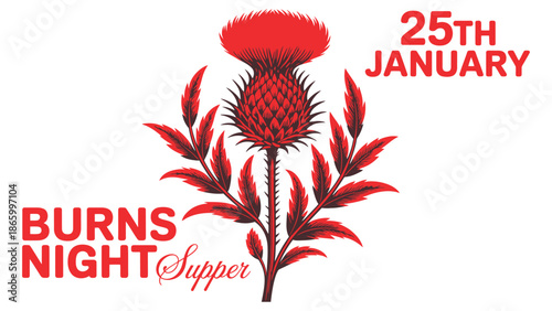  Burns Night Supper Celebration Design With Scottish Thistle Illustration And Typography For Traditional Scotland Event On 25th January Cultural Festival
