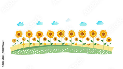 Sunflower field under blue sky