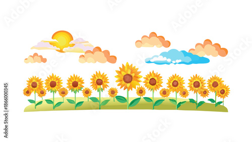 Sunflower field under a bright sky