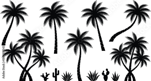 Palm Tree Silhouette Set with Tropical Plants Black and White Vector Illustration