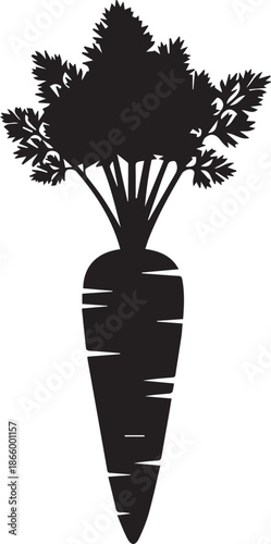 Freshly harvested carrot