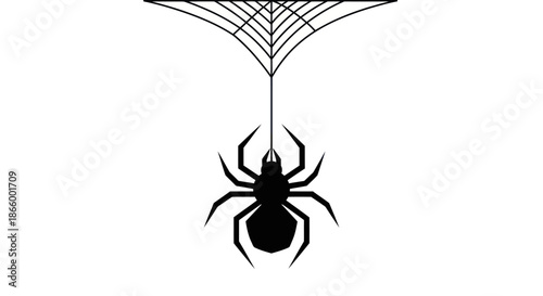 Black silhouette of a spider hanging by a single thread from its web.