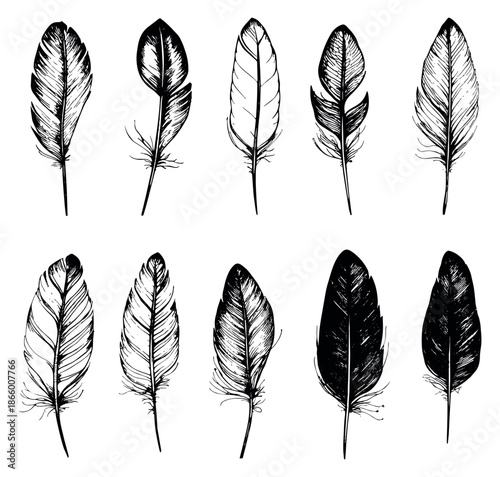 Hand drawn line art feather set featuring different styles of bird feathers for decoration and design projects