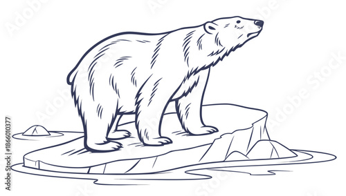 Polar bear on ice floe