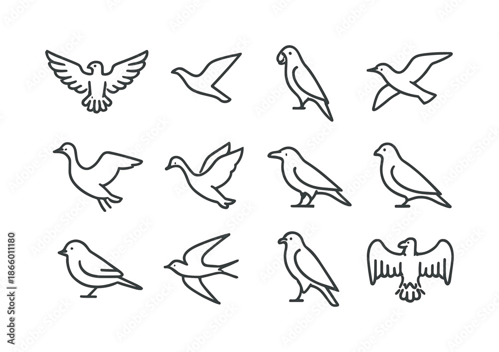 Fototapeta premium Line Art Flying Animals. Flying Animals. Line icon set of Flying Animals: eagle wing spread, soaring bird, parrot, seagull, goose, swan, raven, pigeon,
