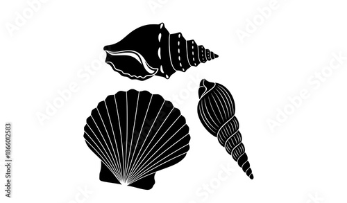 Elegant sea shell black silhouette vector illustration set isolated on white background