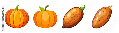 Illustration of pumpkins and sweet potatoes for autumn harvest and thanksgiving season design