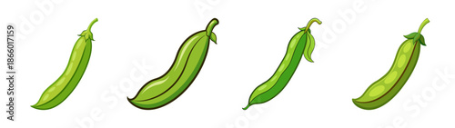 Fresh green beans vector illustration, organic vegetables, healthy eating, farm to table, vegan diet