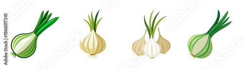 Shallots vegetable cooking ingredient fresh produce food preparation gourmet shallot recipes guide