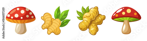 Mushroom ginger root illustration set for cooking ingredient and healthy food concept art