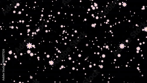 Seamless looping animation of falling flowers on transparent background. Gentle decorative motion ideal for holiday videos, celebrations, invitations, overlays, titles, and elegant seasonal projects.