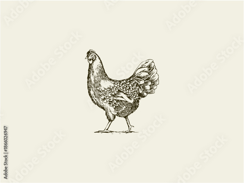 Hens