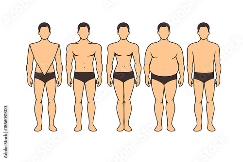 Five Male Body Types Illustration