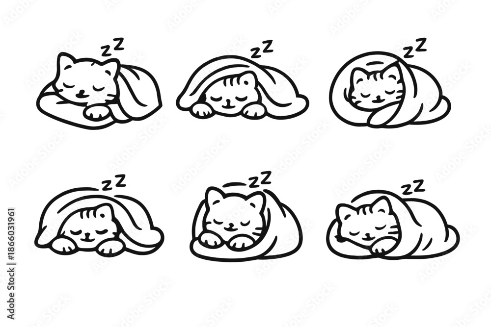 Fototapeta premium Cute Sleeping Cats Wrapped in Blankets