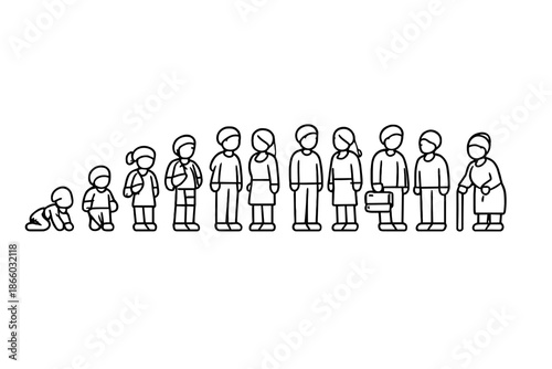 Human life cycle progression