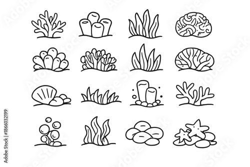 Hand-drawn collection of underwater plants and sea creatures