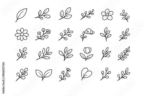Collection of Hand-Drawn Floral and Leaf Elements