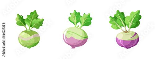 Kohlrabi vegetable nutrition information and health benefits how to grow and cook kohlrabi guide