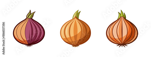 Illustration of shallots vegetable, cooking ingredient, healthy food, and culinary herb concept