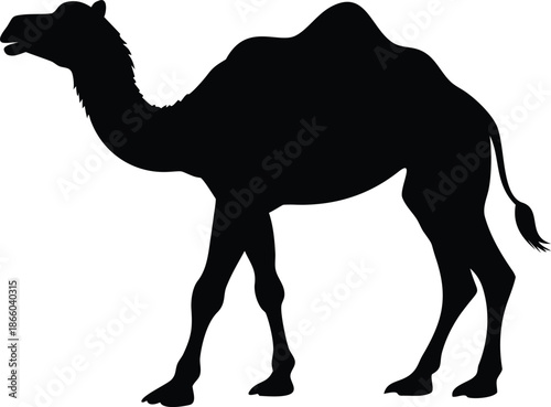 A striking black silhouette of a dromedary camel stands prominently against a white