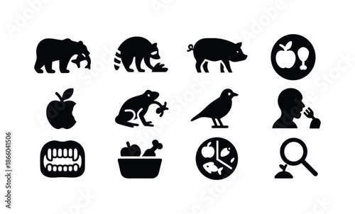 Omnivorous Icons Set. Omnivores. Solid icon set of Omnivores: bear eating fish, raccoon rummaging, pig icon, mixed diet plate, fruit bite, insect catch, bird
