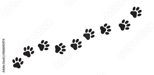Animal paw prints trail leading diagonally across canvas for pet related marketing and veterinary business branding