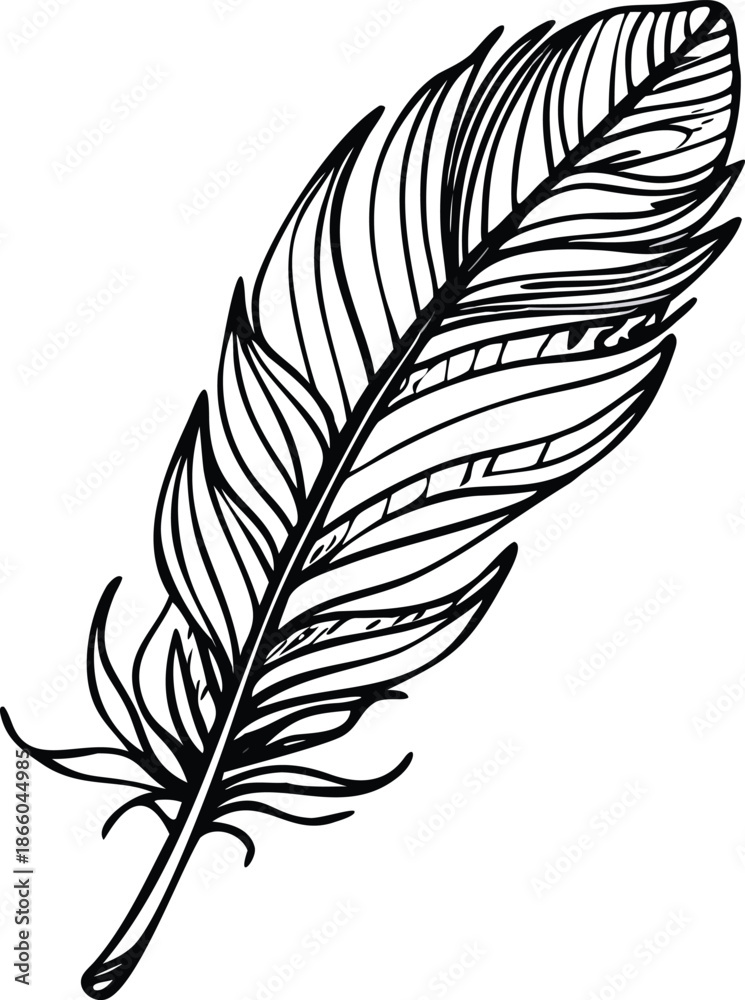 Fototapeta premium A detailed black and white illustration of a single elegant feather is shown