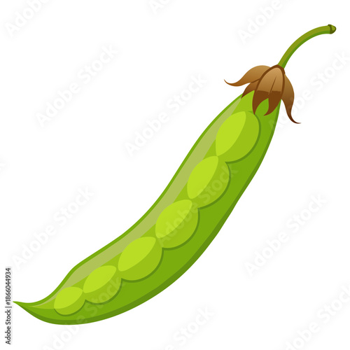 Fresh green peas in pod vegetable healthy eating vegan diet nutrition food illustration clipart image