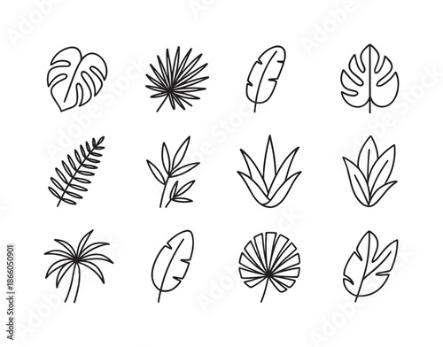 Tropical Leaf Icons. Tropical leaves. Line icon set of Tropical leaves: monstera leaf, palm frond, banana leaf, philodendron leaf, fern leaf, bamboo leaf,