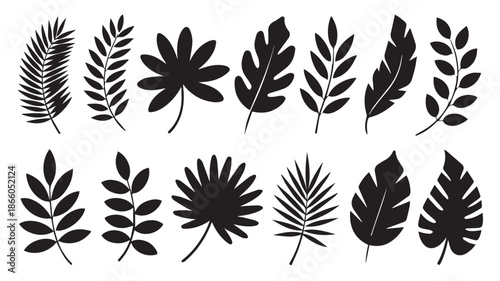 A collection of black and white botanical leaf silhouettes on a white background
