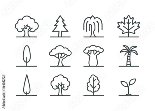 Tree Icon Collection. Tree Types in Field. Line icon set of Tree Types in Field: oak tree, pine tree, willow tree, maple tree, poplar tree, acacia tree, baobab