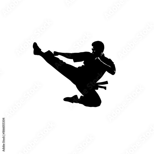 Silhouette of a Karate Practitioner Performing a Flying Kick.