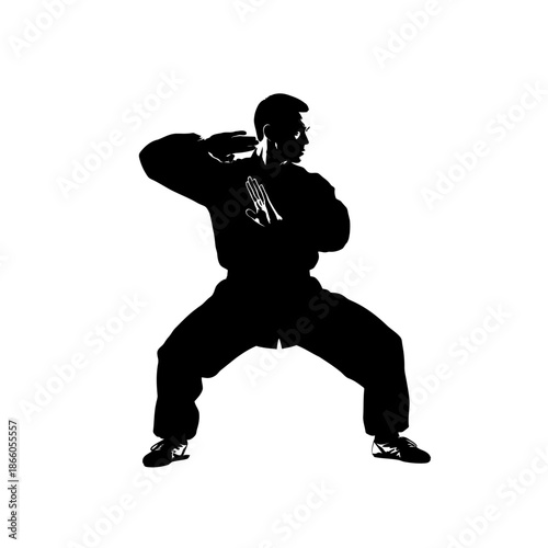 Silhouette of a man in a martial arts stance.