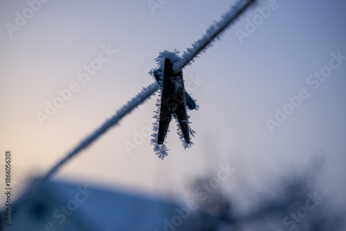 Clothespin and rope covered with frost