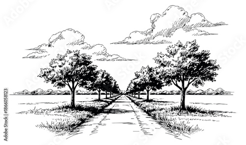 Hand drawn line art illustration of a tree lined road depicting perspective into the distance for nature designs