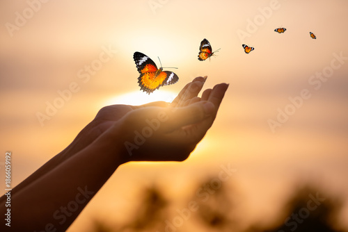 Slika na platnu Butterfly Resting on Finger Tip Against Golden Sunset Sky