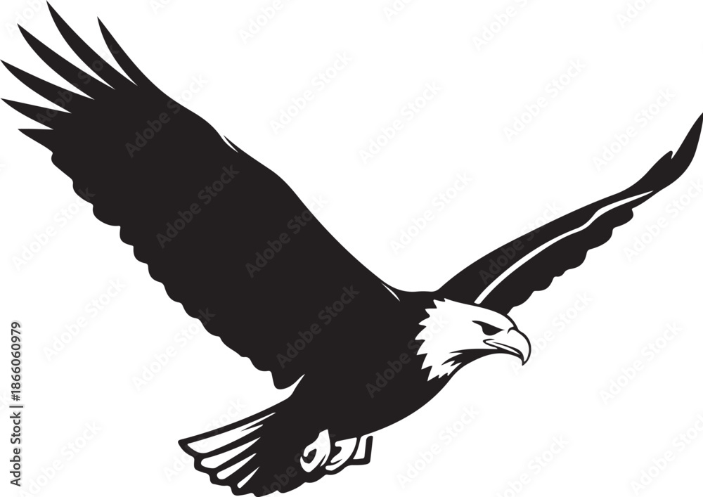 Fototapeta premium American bald eagle in flight silhouette