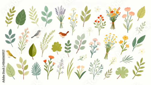 Illustrated plants and birds