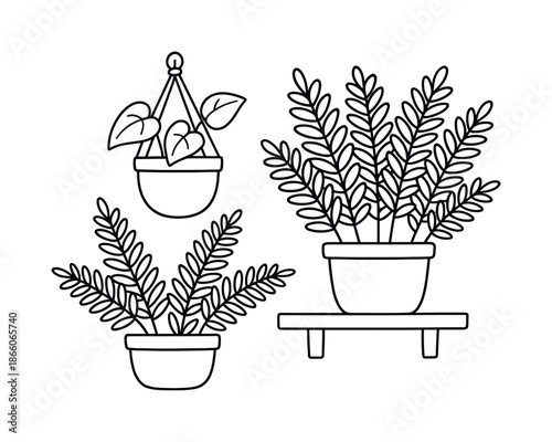 Houseplants Coloring Page. Indoor houseplants children?s coloring book illustration, outlined drawing, a small shelf with a macrame hanger beside potted ferns,