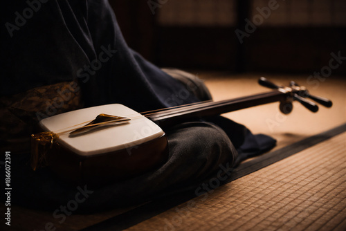 音が消えた後の余韻,三味線が描く静かな情景