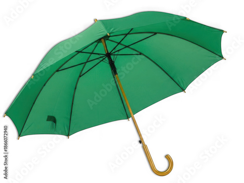 Bright green umbrella with wooden handle