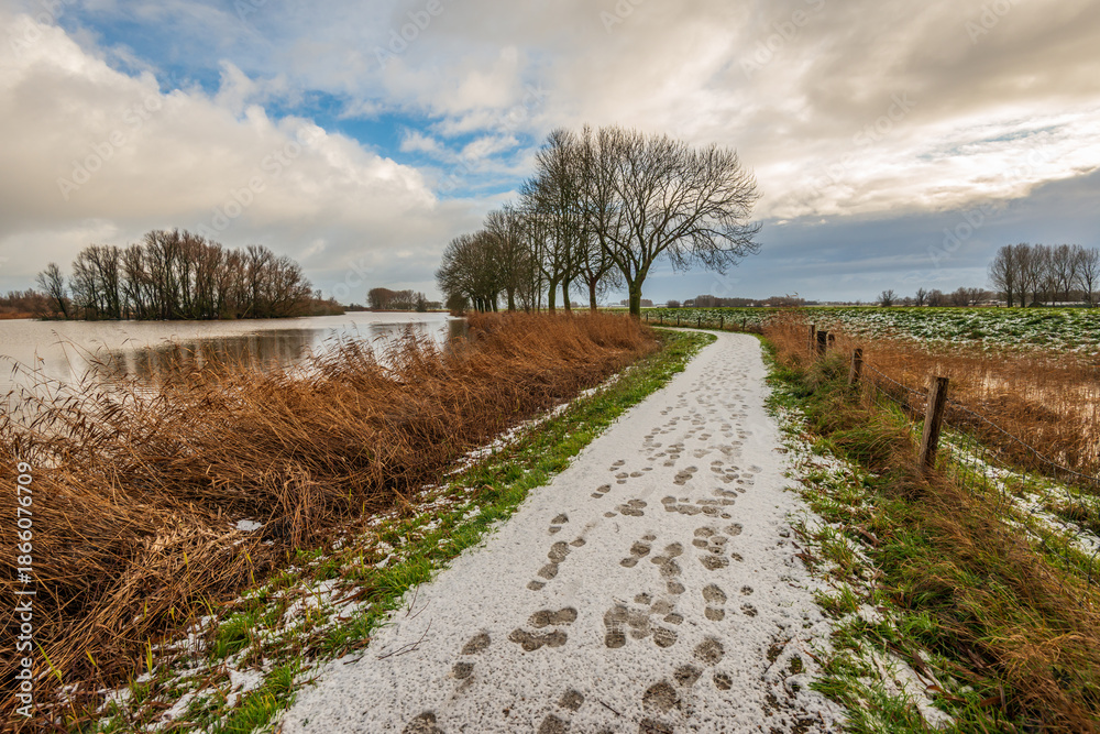 Fototapeta premium Winter landscape along a small lake during the Dutch winter season. It has snowed lightly, and much more is expected.