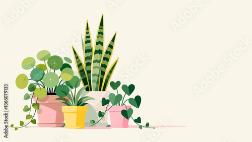 Potted plants collection