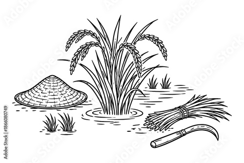 Line art of rice plant harvesting tools and scenes in agriculture