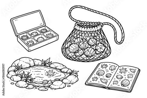 Beach treasures: hand drawn seashell collection with mesh bag and sketchbook