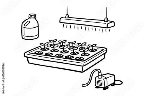 Modern hydroponic farming setup with seedlings and equipment in linear design