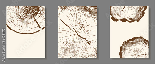Set of Tree ring patterns on wooden texture backgrounds. Natural wood grain templates with circular trunk cross-sections, tree trunk cross-sections with annual rings for design card flyer project