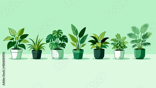 potted plants in a row