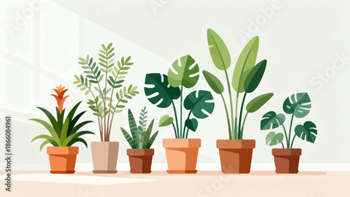 Potted plants in a row