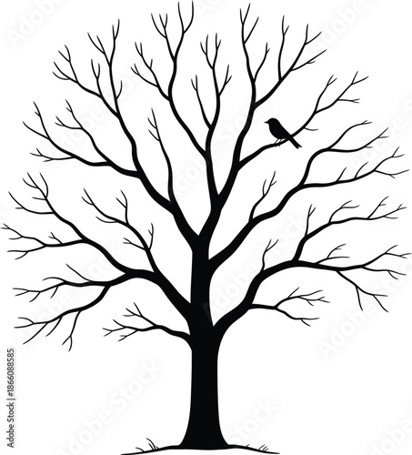 Solitary bird on bare tree